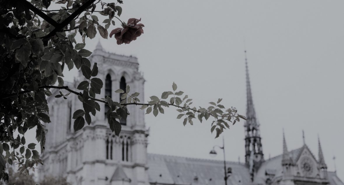 notre-dame-bethany-beck-1325608-unsplash