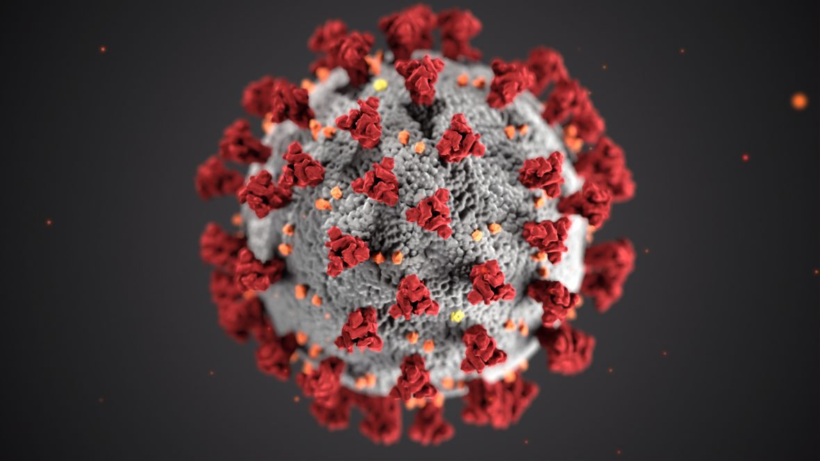 Det nya Corona-viruset. Illustration: CDC, Unsplash.