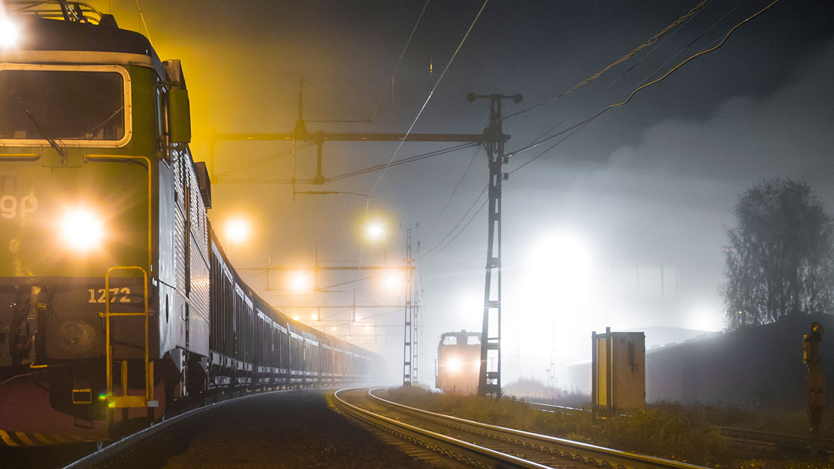 tåg i kvällsdimma